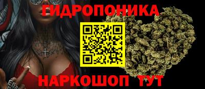 каннабис Будённовск