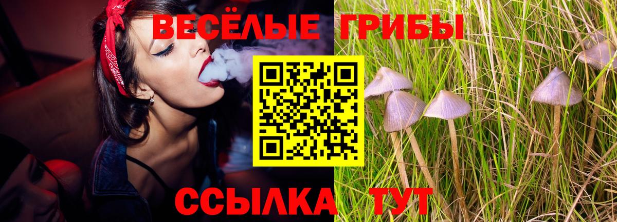 Обнинск  Псилоцибиновые грибы GOLDEN TEACHER  Вход с VPN 
