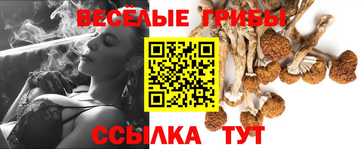 Галлюциногенные грибы ЛСД Обнинск